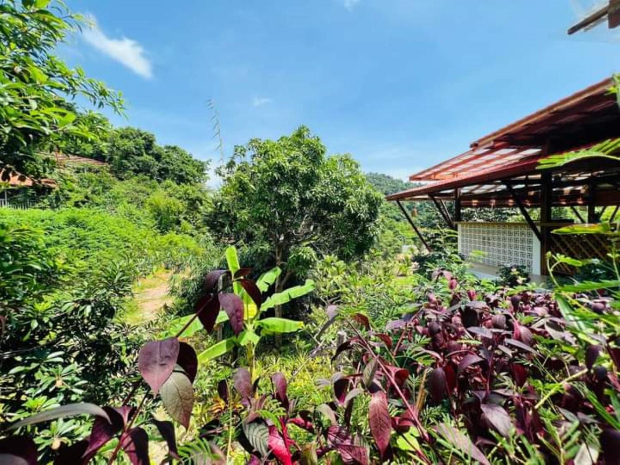 Veranda Natural Resort Kep Kültér fotó